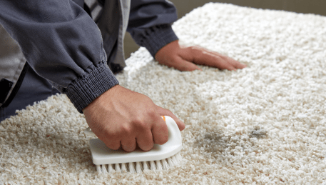 Professional Rug Cleaning Fountain Gate